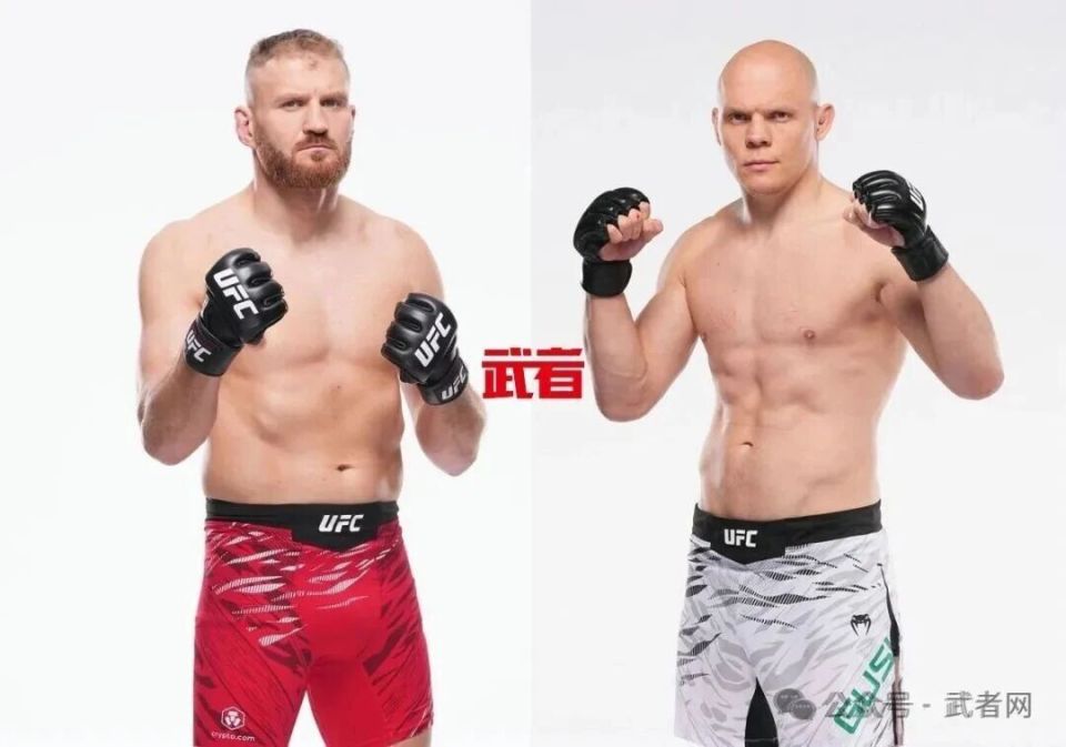 VS, 蝇量级比赛, 阿尔曼 VS, 蝇量级比赛, 阿尔曼